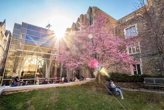 「最宜居」美国大学Top 10！选校没考虑气候，可能后悔四年